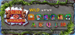 สัญลักษณ์ Wild