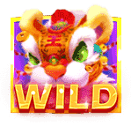 สัญลักษณ์ Wild