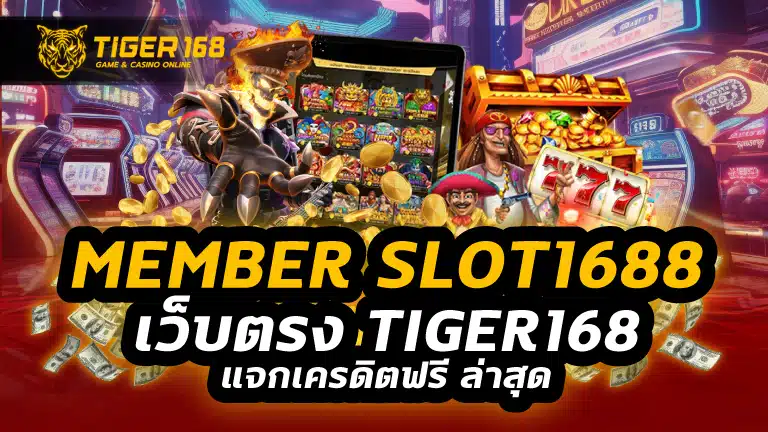 member slot 1688